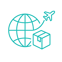 Global delivery support with export experience